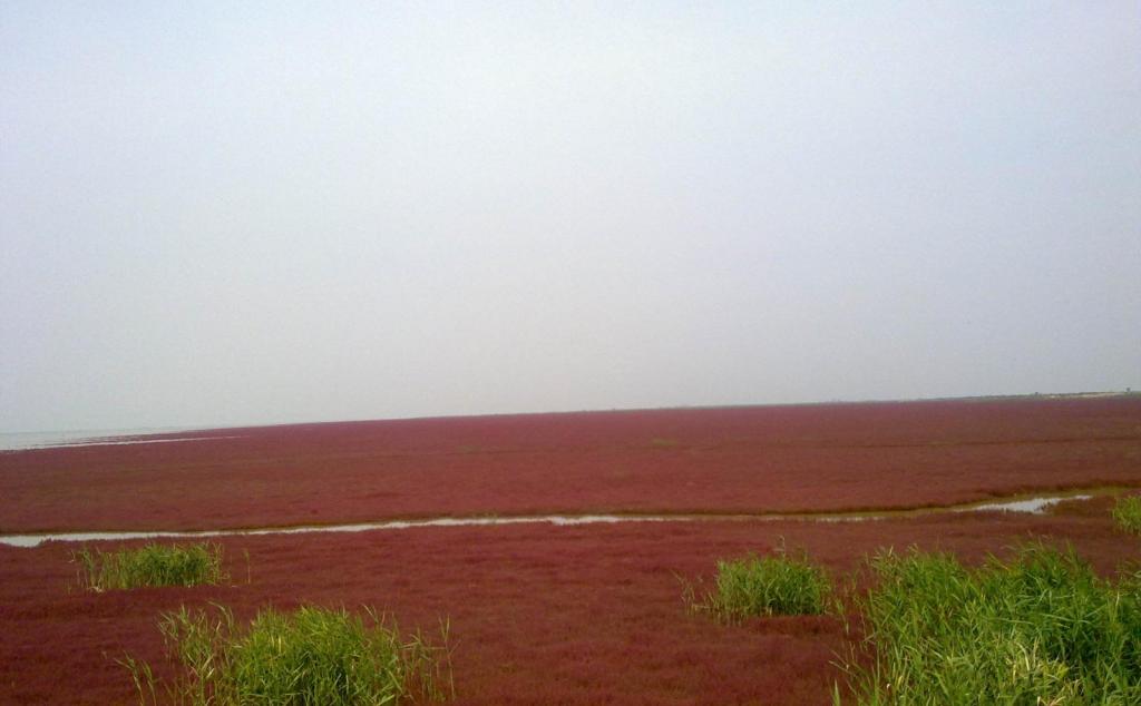 北京出發(fā)山東自駕游：朱家裕風(fēng)景區(qū)-黃河口生態(tài)旅游區(qū)-雪野湖3日自駕之旅