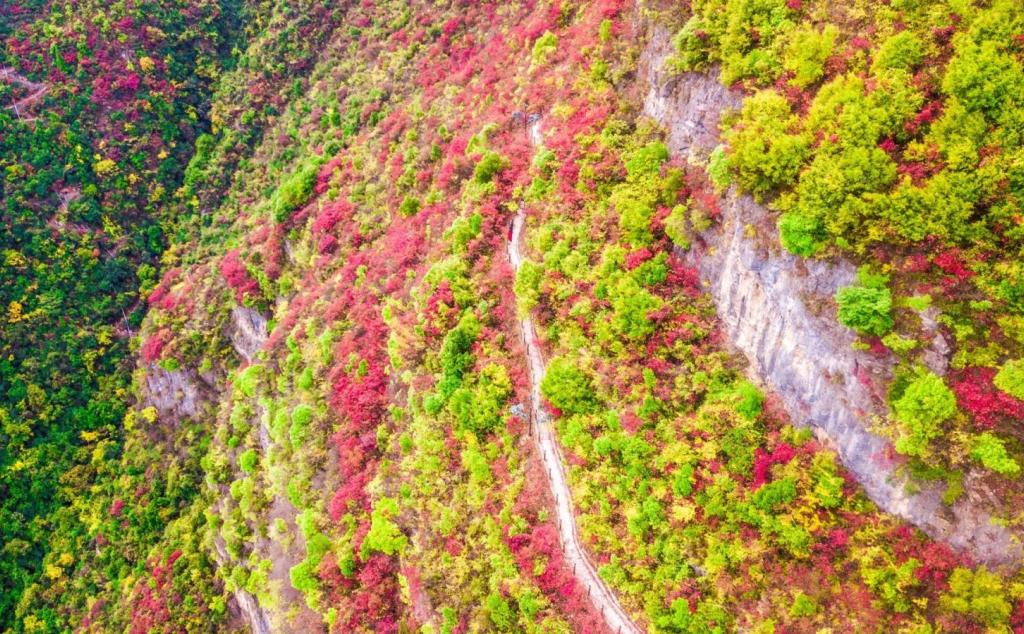 長(zhǎng)沙出發(fā)重慶宜昌4日自駕游：宜昌三峽大壩-巫山小三峽-神女天路紅葉4日自駕游