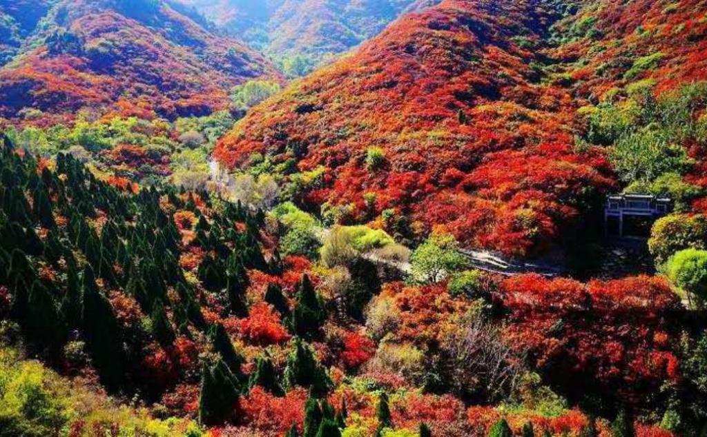 北京出發(fā)河北山東8日自駕：石頭村、西柏坡、白鹿溫泉、王硇村8日自駕