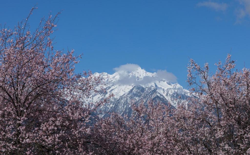 全國(guó)出發(fā)林芝桃花17日自駕：川藏南線318-波密噶拉桃花溝-雅魯藏布大峽谷-羊湖-納木錯(cuò)17日自駕游