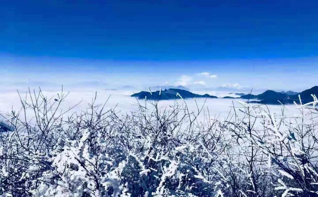 成都出發(fā)雅安3日自駕：轎頂山看云海-草科溫泉-巴旺海徒步洗肺3日自駕