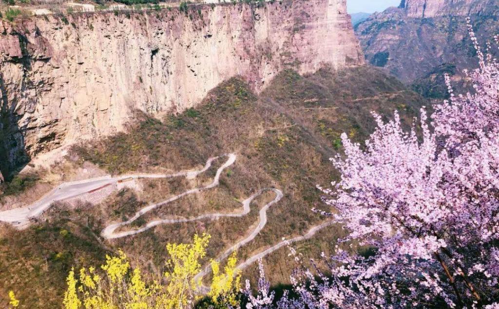 太行之巔、黃河之濱、一路芬芳汴梁行 ，來老家河南上熱搜吧！