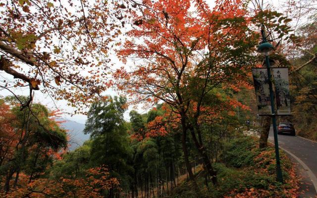 鄭州出發(fā)安徽浙江7日自駕游：徽州秋韻-千島湖-莫干山低奢養(yǎng)生休閑7日精品自駕