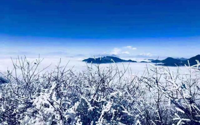 成都出發(fā)雅安3日自駕：轎頂山看云海-草科溫泉-巴旺海徒步洗肺3日自駕