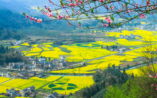 青島出發(fā)安徽6日攝影自駕：柯村油菜花+桃花潭+皖南川藏線+寧國(guó)+新安江山水畫廊