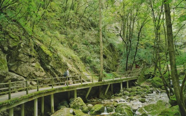 寧夏銀川出發(fā)4日自駕：牛背梁、柞水溶洞、陳爐古鎮(zhèn)、終南山寨、袁家村4日自駕游